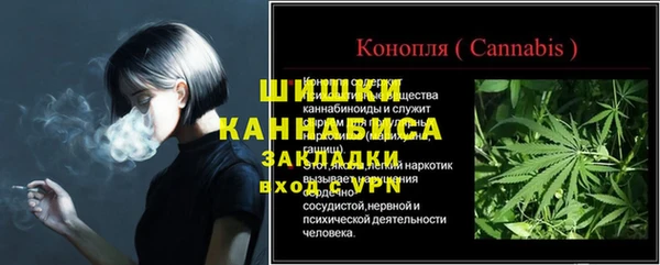 ГАЛЛЮЦИНОГЕННЫЕ ГРИБЫ Баксан