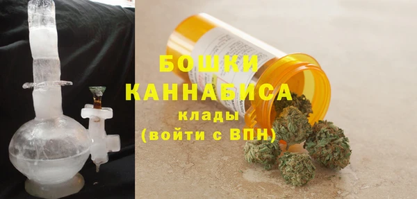 ГАЛЛЮЦИНОГЕННЫЕ ГРИБЫ Баксан