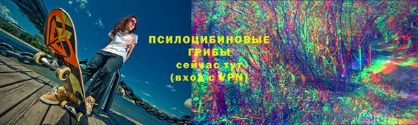 ГАЛЛЮЦИНОГЕННЫЕ ГРИБЫ Баксан