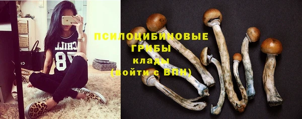 гидропоника Балабаново