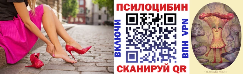 Галлюциногенные грибы Magic Shrooms  наркота  Туринск 
